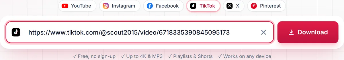 A TikTok video link pasted into the SaveDock download box, with the TikTok tab selected